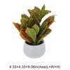 Unique Bargains Artificial Plants Croton Plant in Small Pot Plastic Green 4.33"x4.33"x9.06" 1 Pc - 3 of 4
