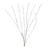 Melrose Flocked Tinsel Branch (Set of 12) - 3 of 3