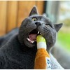 Haute Diggity Kitty by Haute Diggity Dog Purrona (Bottle & Ball) Crinkle Cat Toy with Catnip - 3 of 3