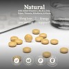 Floradix Iron Tablets - Iron Supplement with Folic Acid, Vitamin C & More - Energy Support - Vegetarian, Gluten-Free - 3 of 4