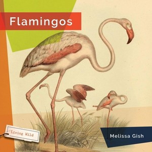 Flamingos - by  Melissa Gish (Paperback) - 1 of 1