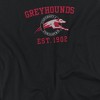Women's University Of Indianapolis Circle Logo Crop Top T-Shirt - 2 of 4