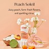 Curie Solid Deodorant Stick Peach Soleil - Aluminum-Free 2oz - 2 of 3