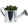 Northlight 4" Echeveria Succulent in Watering Can Artificial Potted Plant - Green/Silver - 3 of 4