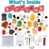 DIY Needle Felting Kit w Case- Animal Foodie Friends- Make 8 Adorable Designs- Starter Kit Includes Mat, Wool Felt Tools, Needles, Instructions - 3 of 4
