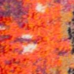blue/orange