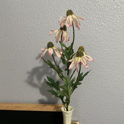 Guest review image 1 of 3, zoom in