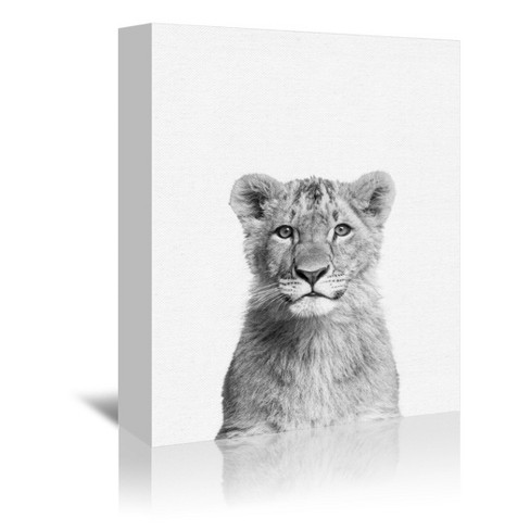 baby lion pictures black and white