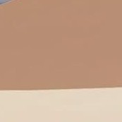 khaki (top cloth) + brown