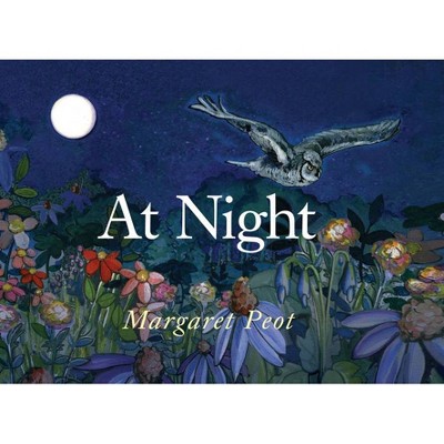 At Night - by  Margaret Peot (Hardcover)