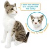 Amy The American Shorthair Cat - 14 Inch Stuffed Animal Plush - by Viahart - 4 of 4
