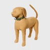 Comfort Dog Collar - Dark Green - Boots & Barkley™ - 3 of 3
