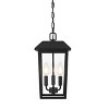 Elegant Lighting Riggs 8 x 15 inch Outdoor Pendant in Black - 3 of 4