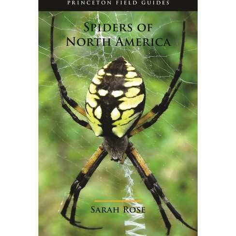 Spiders of North America - North American Insects & Spiders