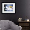 Trademark Fine Art - Mandy Disher Anemone 1 Matted Framed Art - image 2 of 4