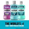 Listerine Cool Mint Antiseptic Mouthwash - 4 of 4