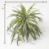 Sullivans Artificial Retro-Inspired Spider Plant 19" Green - 3 of 3