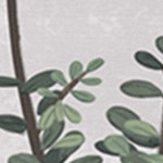 farmhouse gray