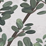 farmhouse gray