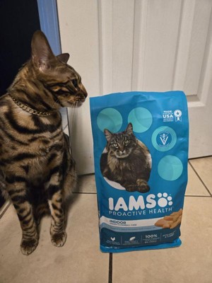 Iams cat food target hotsell