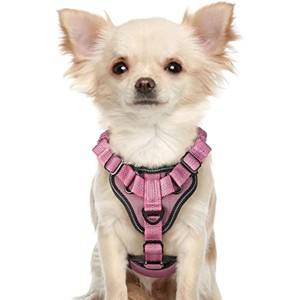 rabbitgoo Dog Harness, No Pull Dog Vest Harnesses with Bungee Handle & 2 Metal Clips, Belly Adjustable, Soft Padded for Large Medium Small Dogs - 1 of 1