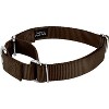 Country Brook Design Martingale Heavyduty Nylon Dog Collar and Double Handle Leash - 2 of 4