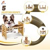 Elevated Bamboo Dog Bowl Stand with Adjustable Height Stainless Steel Bowls - 2 of 3