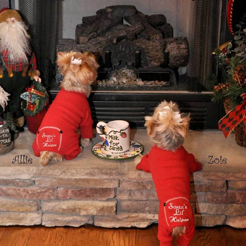 Doggie Design Christmas Santa's Lil' Helper Dog Pajama - Red, 2 of 3
