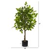 HomeStock  3.25 ft. Artificial Ficus Tree in Pot for Indoor/Outdoor - 2 of 4