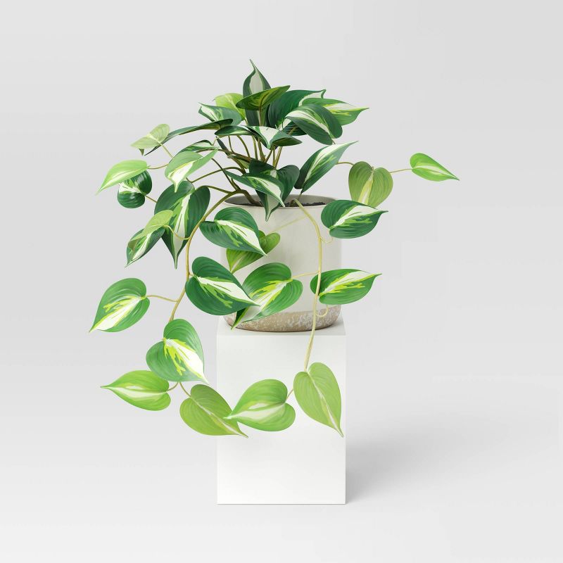 Small Marble Pothos Plant - Threshold&#8482;, 1 of 8