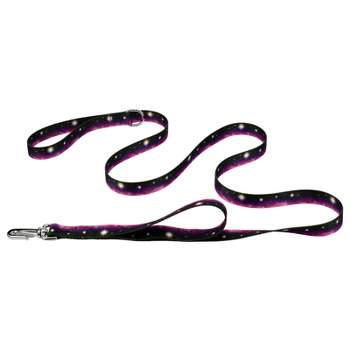 Country Brook Petz Deluxe Heavenly Space Dog Leash