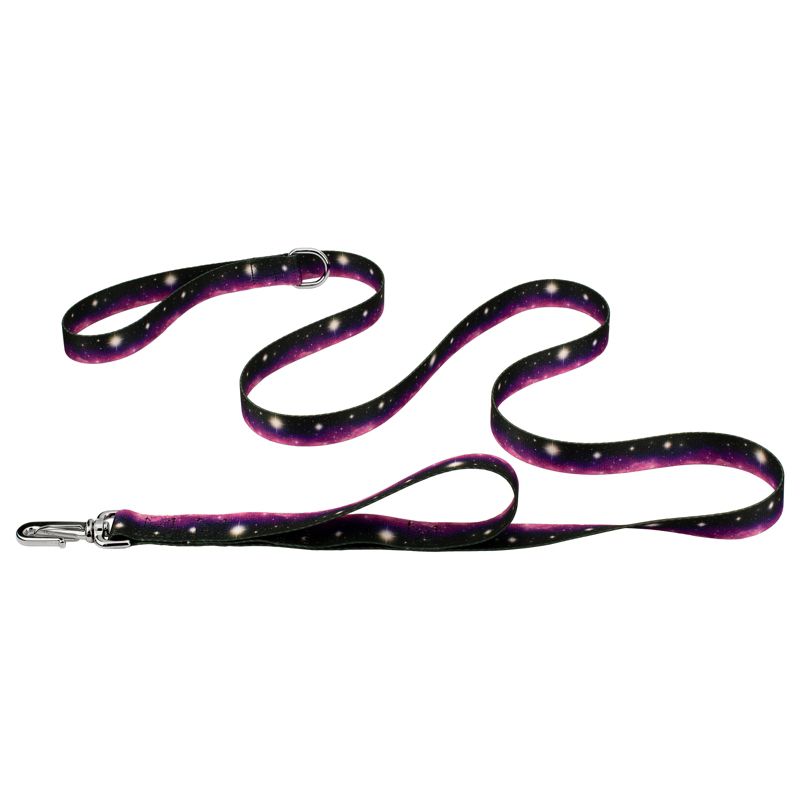 Country Brook Petz Deluxe Heavenly Space Dog Leash, 1 of 4