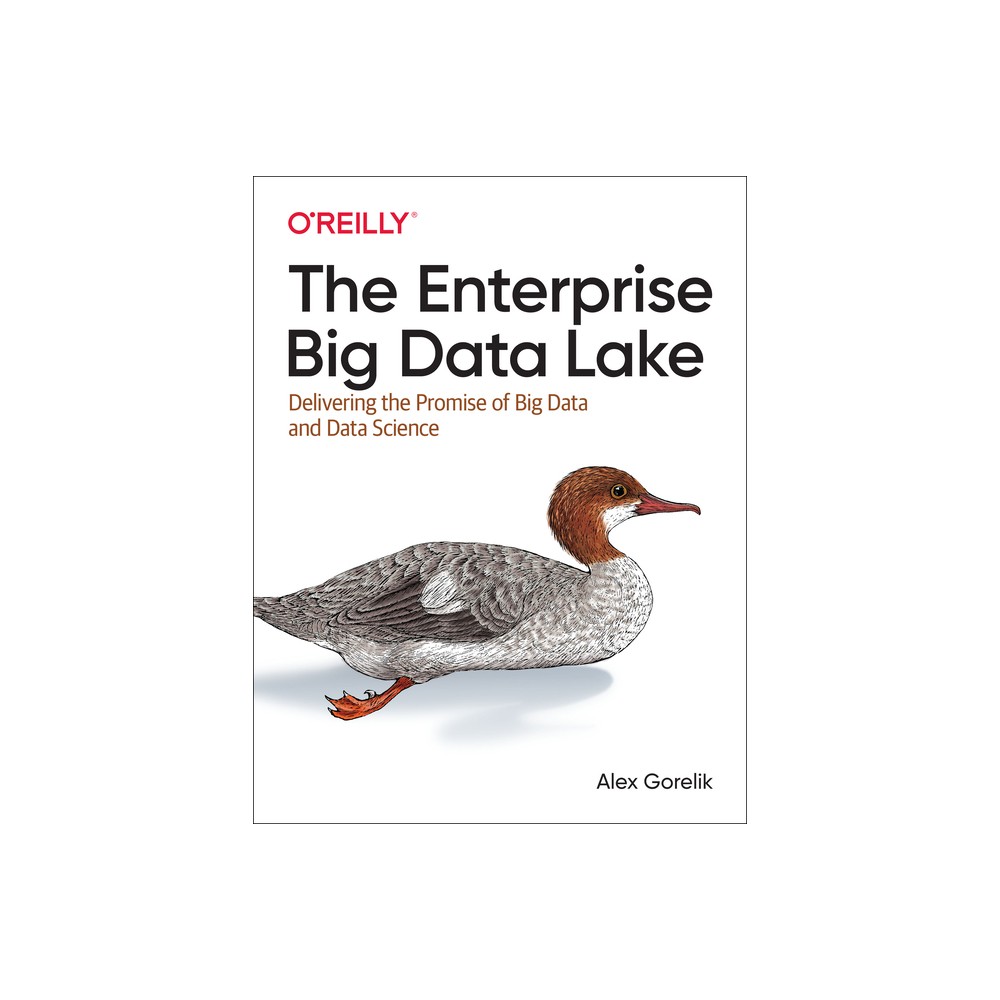 The Enterprise Big Data Lake - by Alex Gorelik (Paperback)