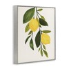 Stupell Industries Simple Yellow Country Lemon Leaf, 11" x 14" - 3 of 4