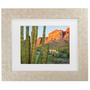 Trademark Fine Art - Alan Majchrowicz Organ Pipe Cactus National Monument Arizona Matted Framed Art - 1 of 4