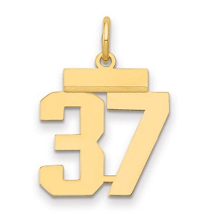 Black Bow Jewelry 14k Yellow Gold, Athletic Collection, Small Polished Number 37 Pendant - 1 of 3