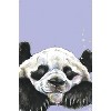 Trends International Snowtap - Panda Photobomb Unframed Wall Poster Prints - 4 of 4