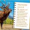 MasterPieces 100 Piece Jigsaw Puzzle - Elk - 9.62"x13.6" - 4 of 4
