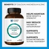 Vitamin World - Calcium, Magnesium & Zinc - 3 of 4