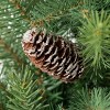 2' Sullivans Small Pinecone Tree In Burlap, Green - 2 of 2