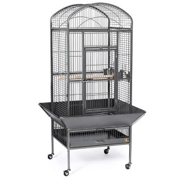 Prevue Pet Products 34521 Dome top Bird Cage, Large, Black Hammerstone