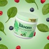 Bloom Nutrition Greens And Superfoods Powder - Coconut - 3oz/15ct : Target