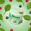 Bloom Nutrition Greens & Superfoods Powder - 11.6 oz - Citrus - Exp 5/24