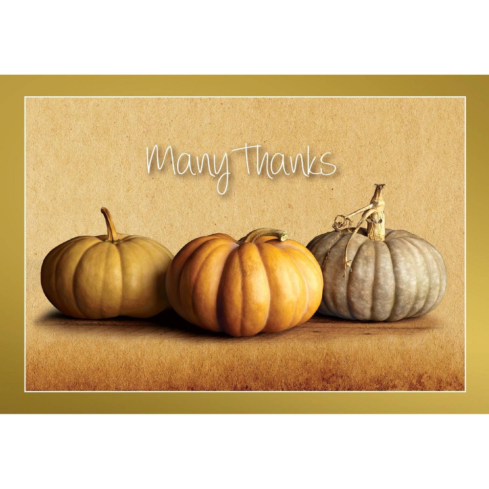 50ct Fall Pumpkins Thank You Note Cards: Great Papers! Multicolor Boxed Stationery with Foil Accents, 5"x3.625"