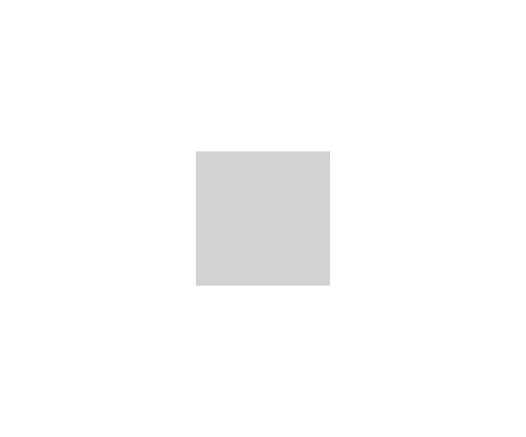Women's Slim Bracelet Watch - A New Day&#153; Silver