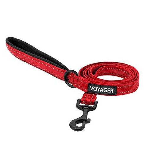 Cat leash hot sale target