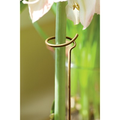 Adjustable Amaryllis Stake - Gardener's Supply Company