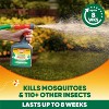 OFF! Backyard Pretreat Outdoor Mosquito Repellent Bug Spray - 32oz - 4 of 4