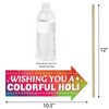 Big Dot of Happiness Funny Holi Hai - Festival of Colors Party Photo Booth Props Kit - 10 Piece - image 3 of 4