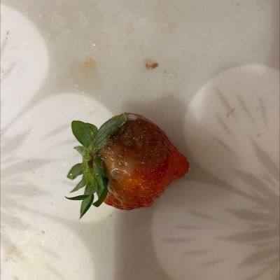 Guest review image 1 of 1, zoom in